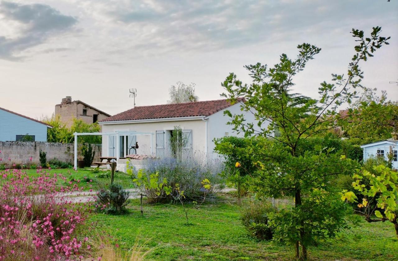 Gite Le Cherche Midi Gaillac Ngoại thất bức ảnh