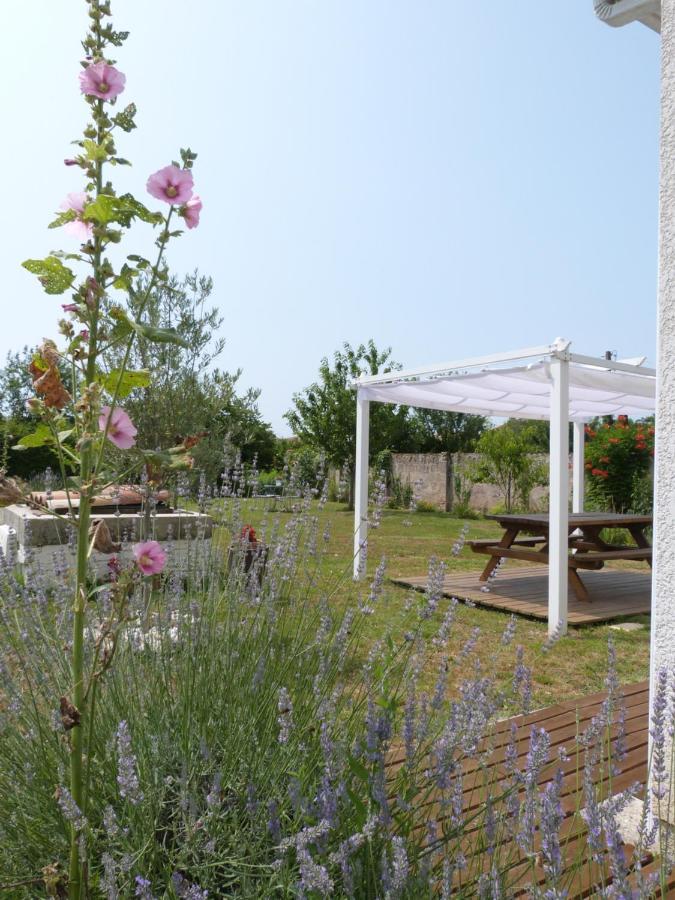 Gite Le Cherche Midi Gaillac Ngoại thất bức ảnh